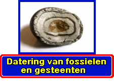 Datering van fossielen en gesteenten